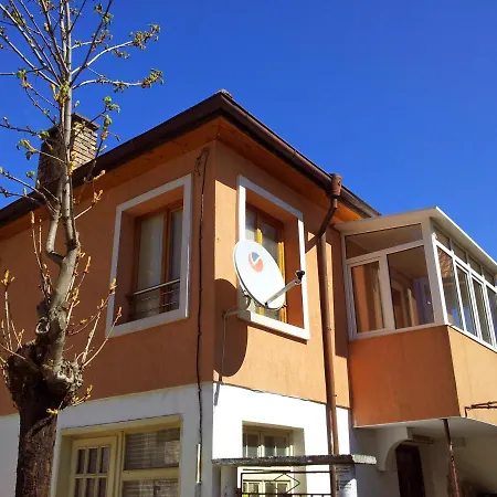 Apartment Теодора